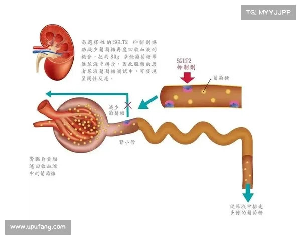 肾受辐射如何治疗？全面解析肾脏辐射治疗方法