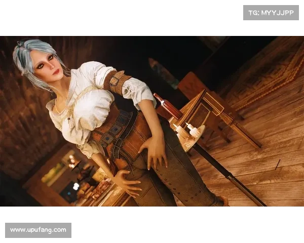 辐射4装备身形配置查看方法